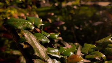 397422815 846858164109428 7227609066246259673 N