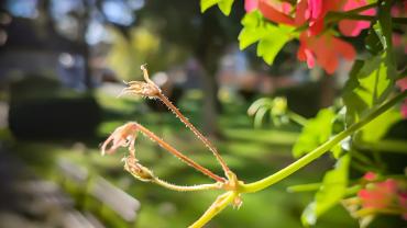 397428642 846858307442747 6087411155888021879 N