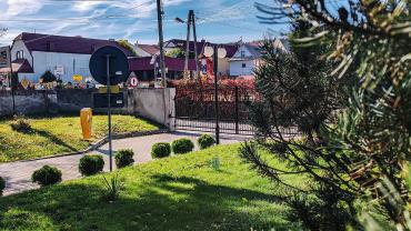 397469490 846858264109418 7563552764960781701 N