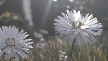 398053222 847964490665462 3598013178034368119 N