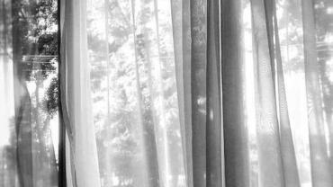 398087529 849767373818507 5324845793340287604 N 1