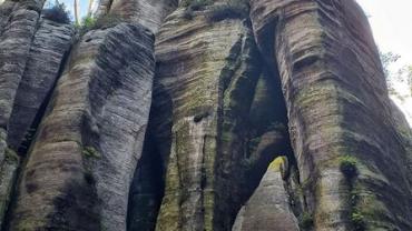 398148884 850073507121227 9062213604115119313 N