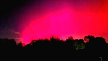 399307442 852789226849655 9073784776007019661 N