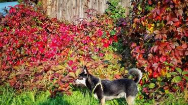 400163526 854110020050909 923981007494477317 N