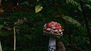 400163619 854304073364837 8723336482524450618 N