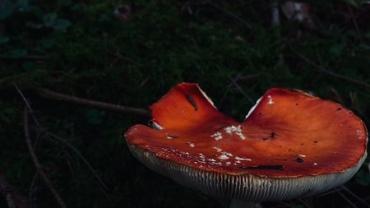 400207571 854304143364830 6927636341561165235 N