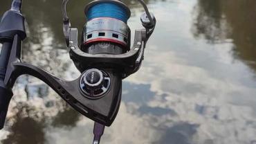 400220536 854501796678398 5680544125921154603 N