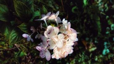 402656105 863248069137104 4274040923254703639 N