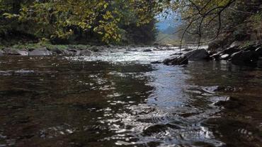 402663258 863912829070628 7380004920307280481 N