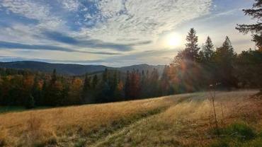 405024002 863914915737086 4485517989392695198 N