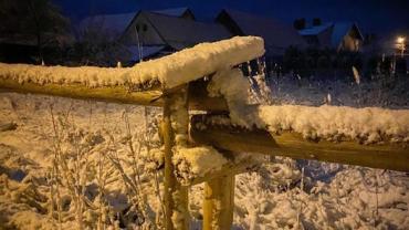 406107906 867459055382672 5147100695913156208 N