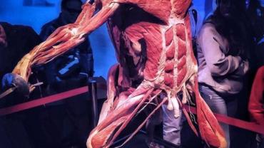 408950525 878249180970326 7274300339774631760 N