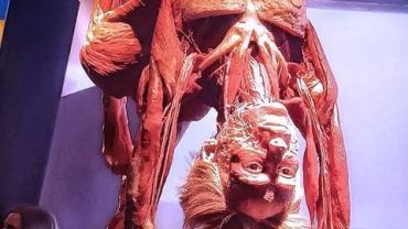 410131980 878249127636998 282157581171442747 N