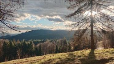 415994233 891389816322929 1273398462723946996 N