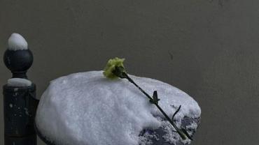 420085400 909453554516555 3886583815758256416 N