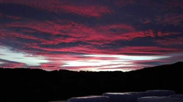 424585202 916299853831925 8752360680610748620 N