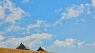 424599444 925564276238816 4174722177494451379 N