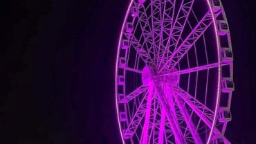 424605587 927646012697309 3857203362918363703 N