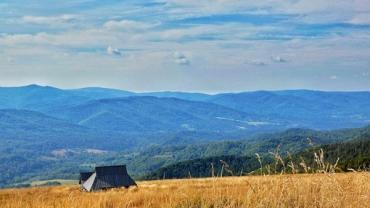 424661369 925564376238806 1279278020803366205 N