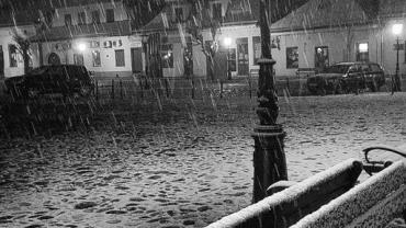 425311941 920892526705991 2151632428440047535 N