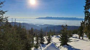 425327148 929247342537176 1096418554455068875 N