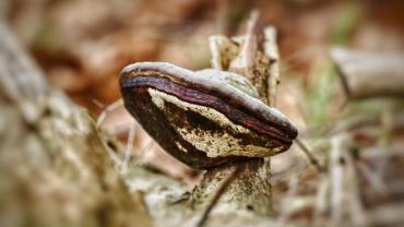 428491483 934879508640626 9133709870636054805 N