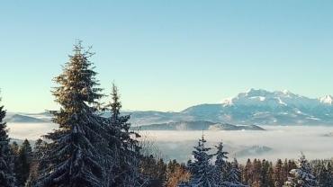 431525546 949384293856814 8145575520791974494 N