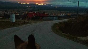 433902929 950673647061212 8425635213458888549 N