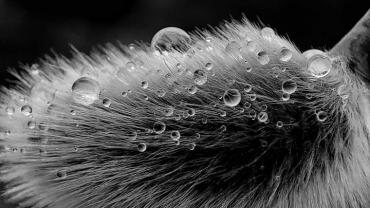 434026746 960218849440025 8226572481359686222 N