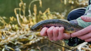 434485900 960218816106695 1801035472903892171 N