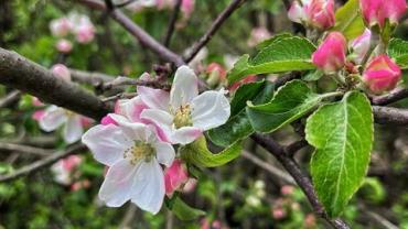 438082132 979507477511162 3758573530348038035 N