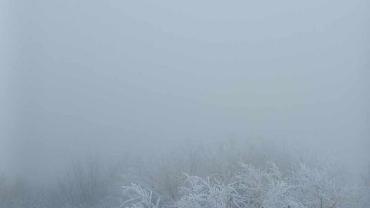 438097811 976510074477569 4930700848383095667 N