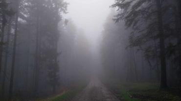 443697239 998302098965033 6950039660552039376 N