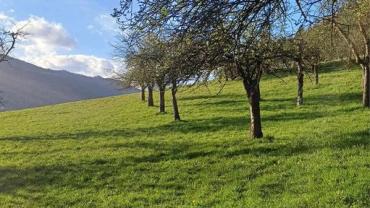 443734747 1000227385439171 4620509858736458883 N