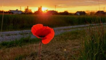 445089049 1003679708427272 6384873023949473874 N