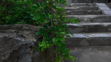 445794206 1006235878171655 526310257966860452 N