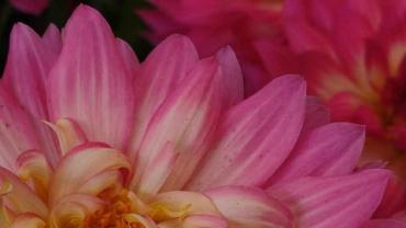 447257696 1008013324660577 2914404878817832348 N