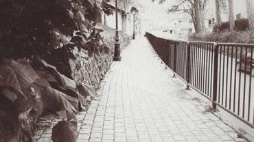 447568423 1009932931135283 7092159986698575490 N