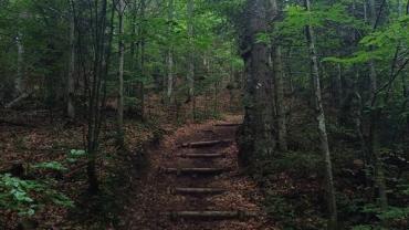 447768963 1013899244071985 3117442496346759328 N