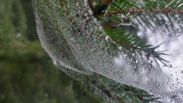 447802127 1012209134240996 1419860635869652418 N