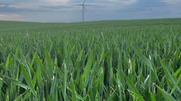 447893105 1014364967358746 9090560378054860302 N