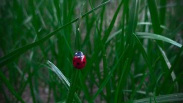 448511132 1018184633643446 1017400268459275172 N