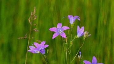 448547684 1019416620186914 4881841003581132745 N