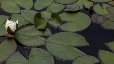 448925428 1025212042940705 2654359902576403278 N