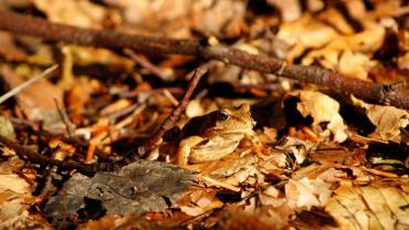 449105001 1025528459575730 4839328495235742364 N