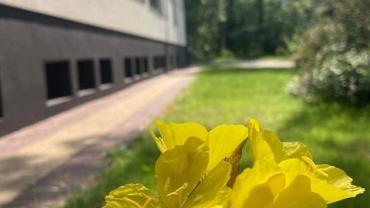 449133119 1026291982832711 2026589760754759286 N