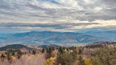 398176702 851437736984804 580814115168104204 N