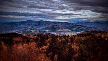 399260630 851437703651474 4768540926489800612 N