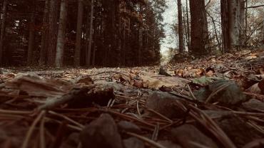 399323027 851437766984801 4084045776036229569 N