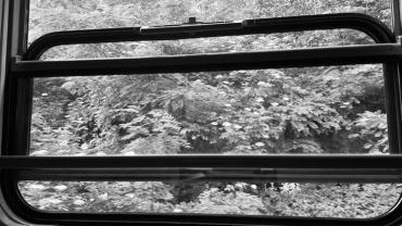 445730346 1006603368134906 3009258197274879234 N